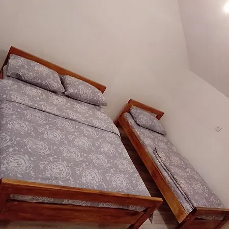 Apartament Danica Foca